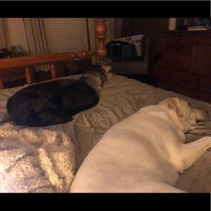 Meet your Posher, Camie